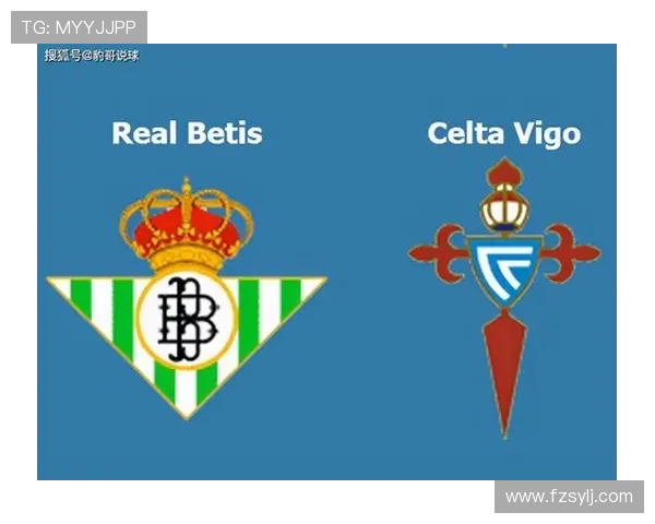 西甲联赛官网网址及平台功能介绍